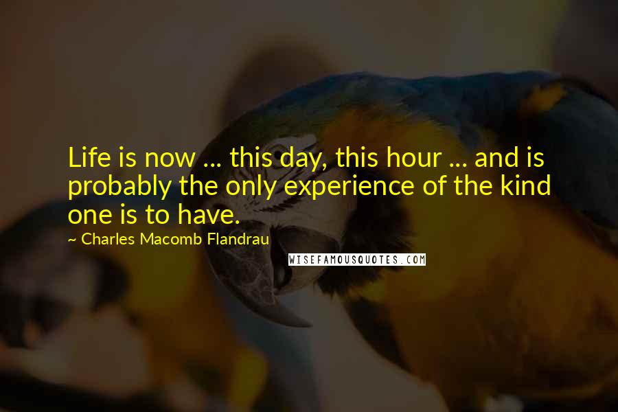 Charles Macomb Flandrau quotes: Life is now ... this day, this hour ... and is probably the only experience of the kind one is to have.