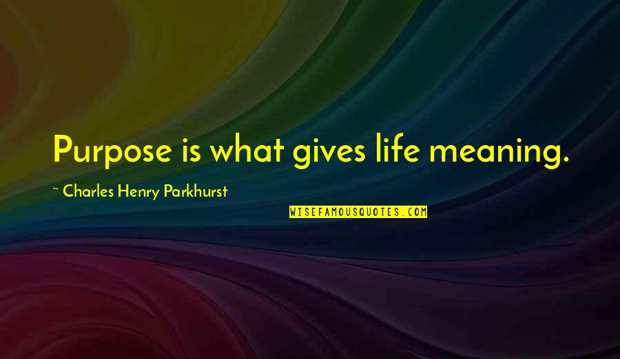 Charles Parkhurst Quotes By Charles Henry Parkhurst: Purpose is what gives life meaning.