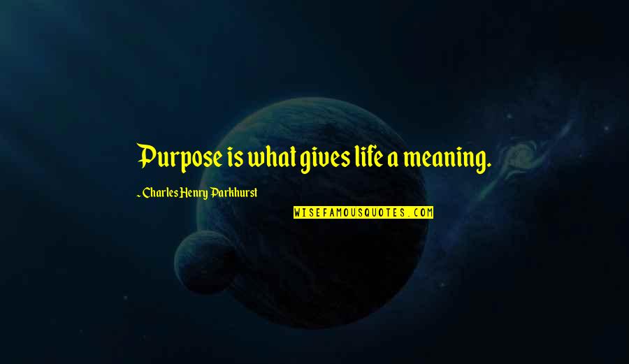 Charles Parkhurst Quotes By Charles Henry Parkhurst: Purpose is what gives life a meaning.