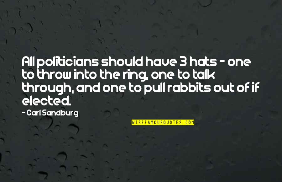 Charles Petillon Quote Quotes By Carl Sandburg: All politicians should have 3 hats - one Charles Petillon Quote Quotes By Carl Sandburg: All politicians should have 3 hats - one