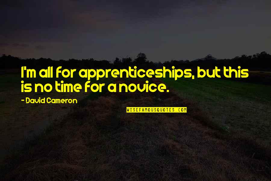 Charles Prince Citigroup Quotes By David Cameron: I'm all for apprenticeships, but this is no