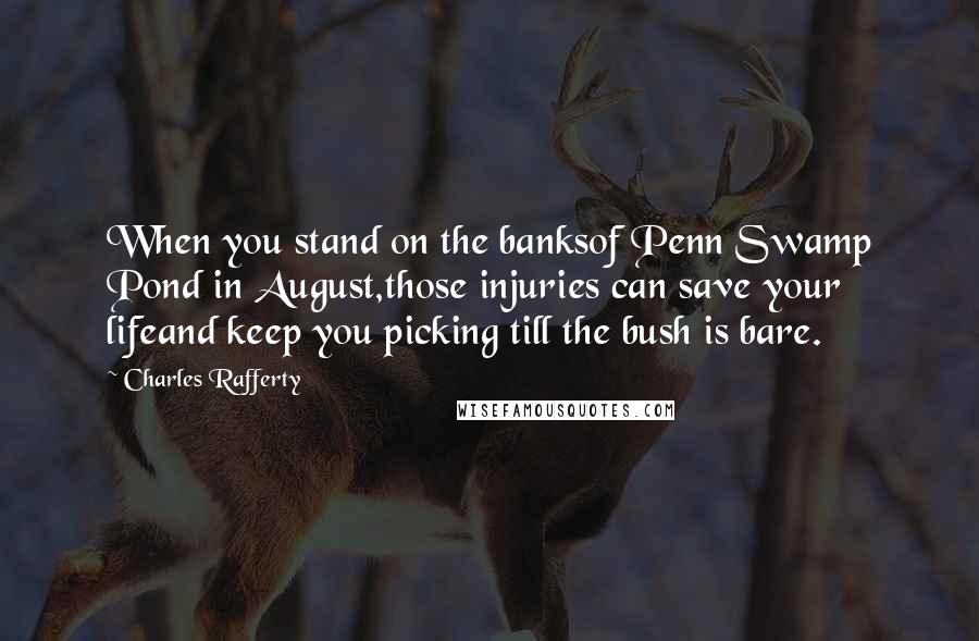 Charles Rafferty quotes: When you stand on the banksof Penn Swamp Pond in August,those injuries can save your lifeand keep you picking till the bush is bare.