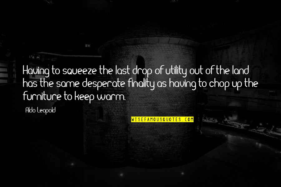 Charles Rennie Mackintosh Quotes By Aldo Leopold: Having to squeeze the last drop of utility