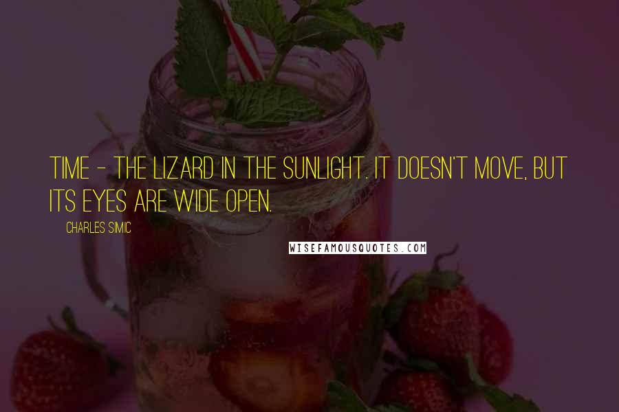 Charles Simic quotes: Time - the lizard in the sunlight. It doesn't move, but its eyes are wide open.