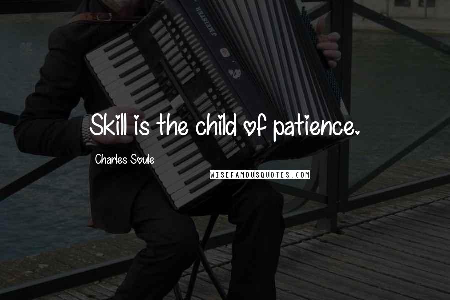 Charles Soule quotes: Skill is the child of patience.