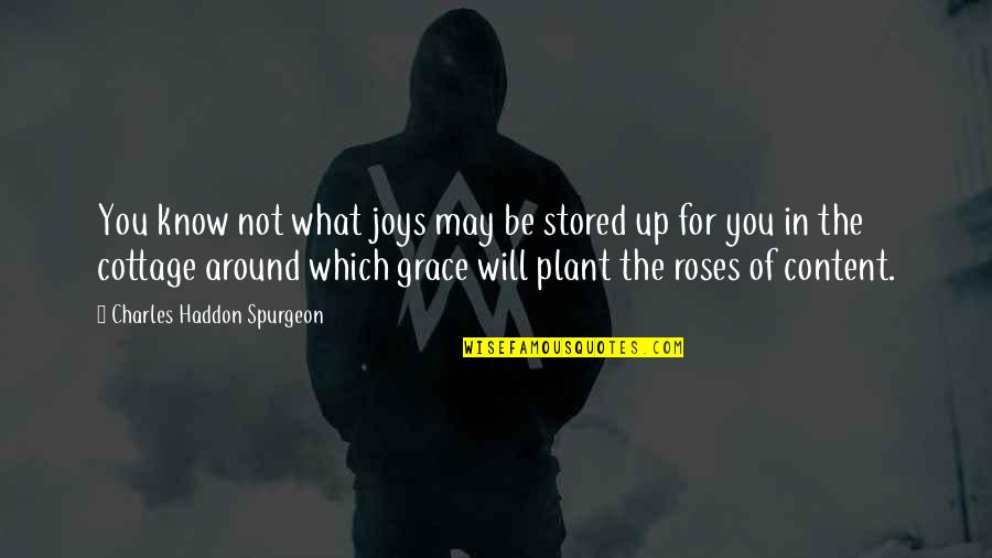 Charles Spurgeon Grace Quotes By Charles Haddon Spurgeon: You know not what joys may be stored Charles Spurgeon Grace Quotes By Charles Haddon Spurgeon: You know not what joys may be stored