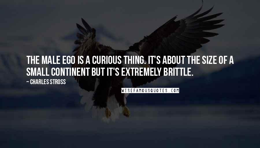 Charles Stross quotes: The male ego is a curious thing. It's about the size of a small continent but it's extremely brittle.