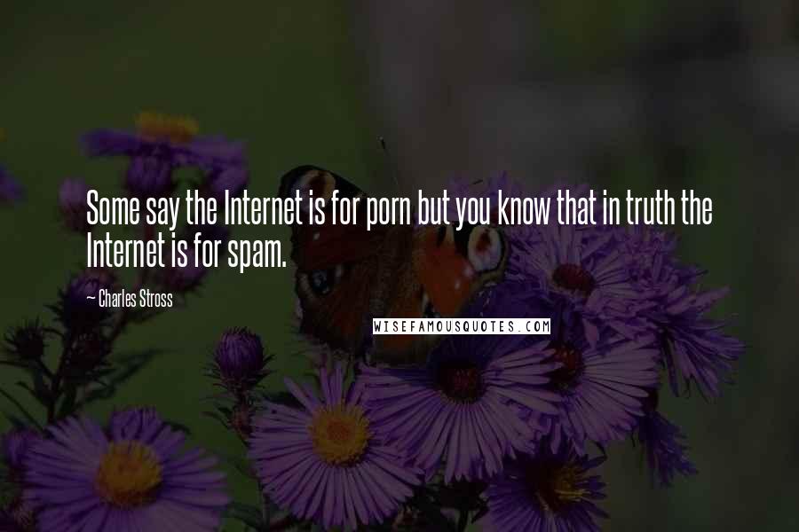 Charles Stross quotes: Some say the Internet is for porn but you know that in truth the Internet is for spam.