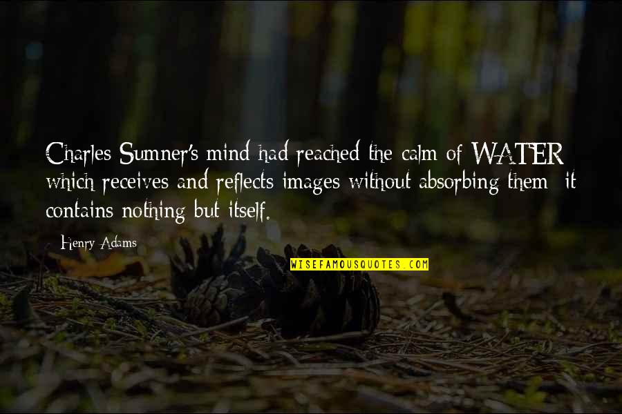 Charles Sumner Quotes By Henry Adams: Charles Sumner's mind had reached the calm of