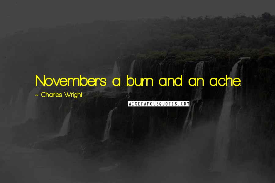 Charles Wright quotes: November's a burn and an ache.