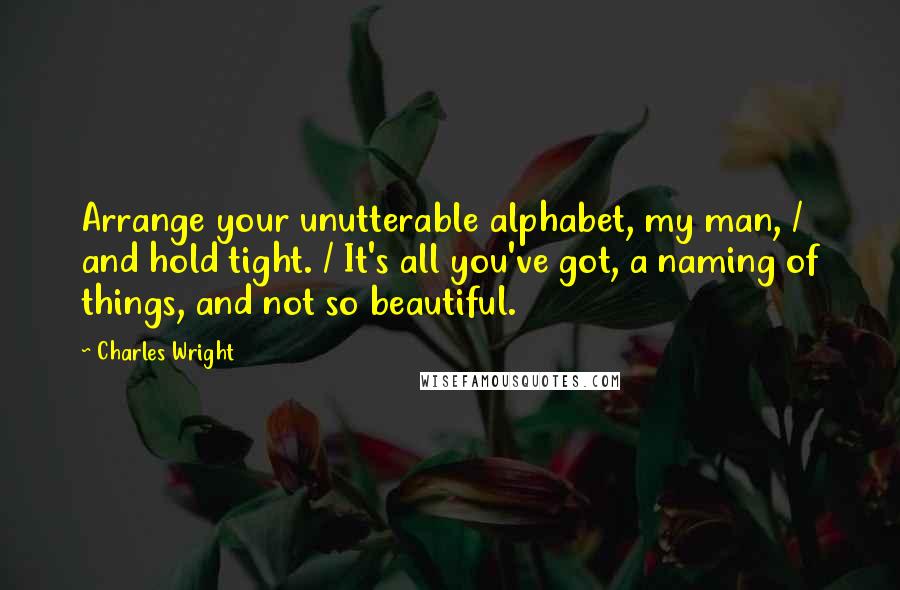 Charles Wright quotes: Arrange your unutterable alphabet, my man, / and hold tight. / It's all you've got, a naming of things, and not so beautiful.