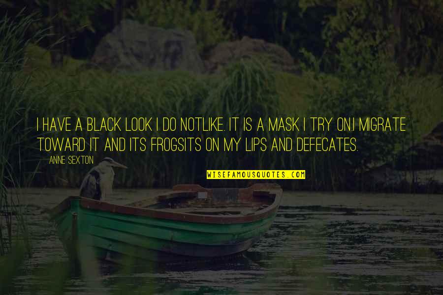 Charlestonians Quotes By Anne Sexton: I have a black look I do notlike.
