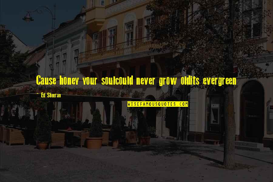 Charlevoix Quotes By Ed Sheeran: Cause honey your soulcould never grow oldits evergreen