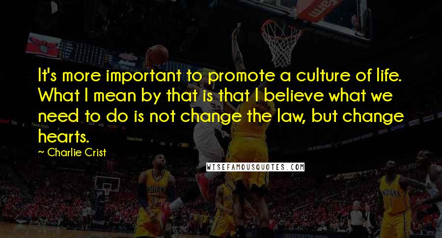 Charlie Crist quotes: It's more important to promote a culture of life. What I mean by that is that I believe what we need to do is not change the law, but change