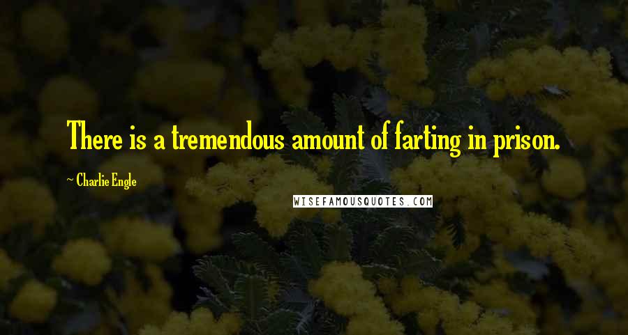 Charlie Engle quotes: There is a tremendous amount of farting in prison.