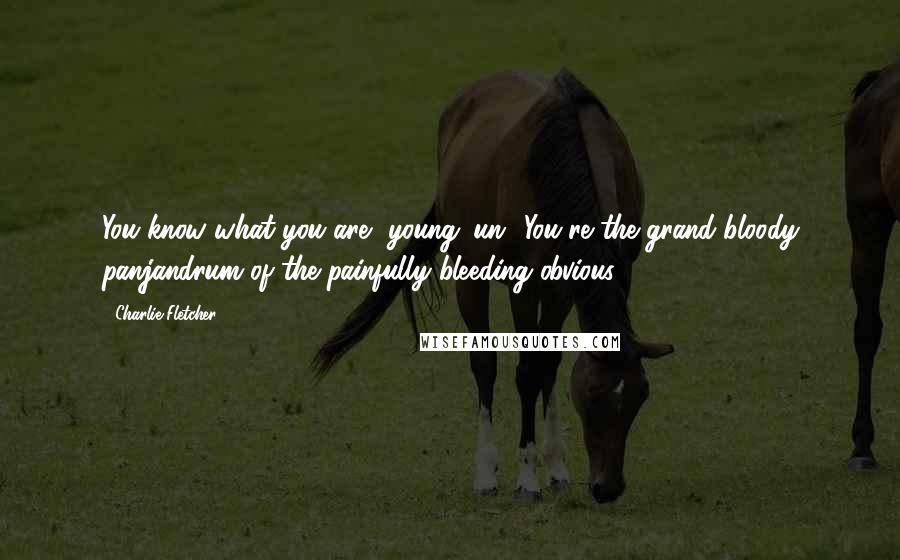 Charlie Fletcher quotes: You know what you are, young 'un? You're the grand bloody panjandrum of the painfully bleeding obvious. Charlie Fletcher quotes: You know what you are, young 'un? You're the grand bloody panjandrum of the painfully bleeding obvious.