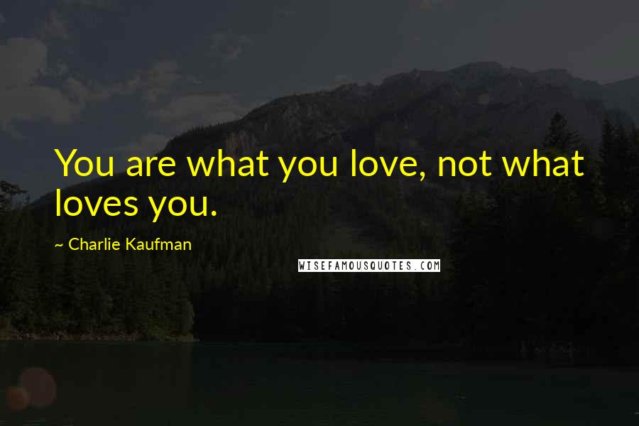 Charlie Kaufman quotes: You are what you love, not what loves you.