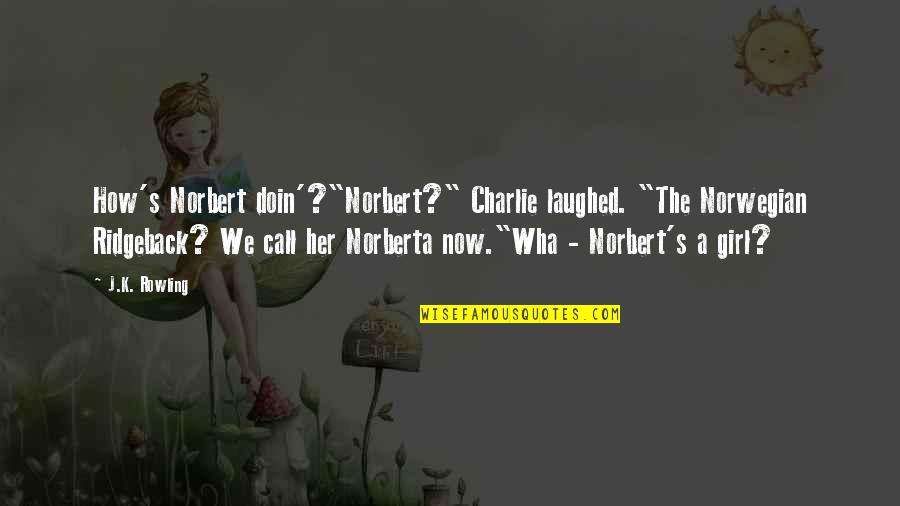 Charlie Quotes By J.K. Rowling: How's Norbert doin'?"Norbert?" Charlie laughed. "The Norwegian Ridgeback?