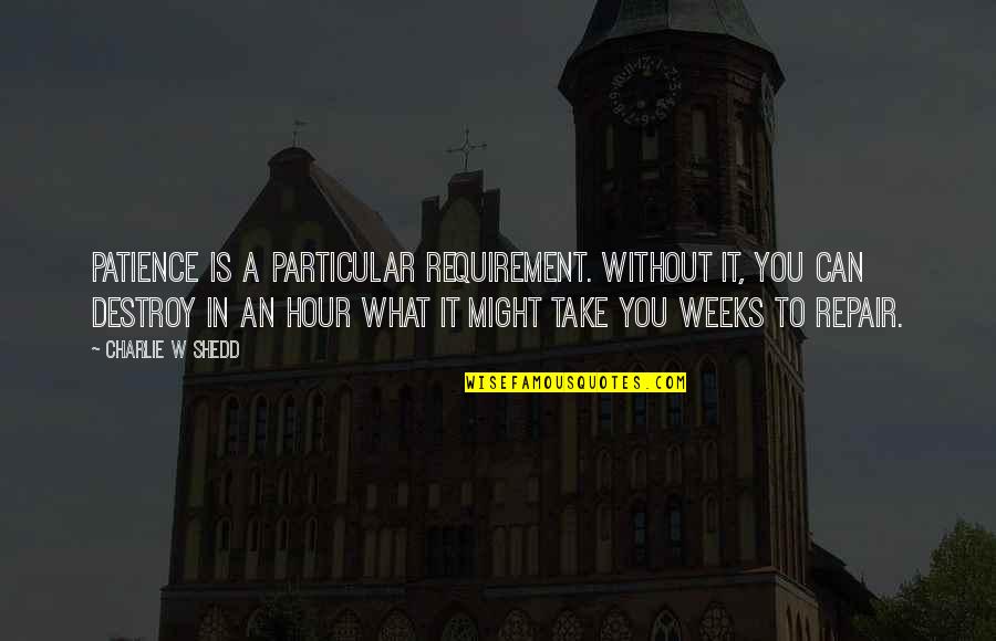 Charlie Shedd Quotes By Charlie W Shedd: Patience is a particular requirement. Without it, you