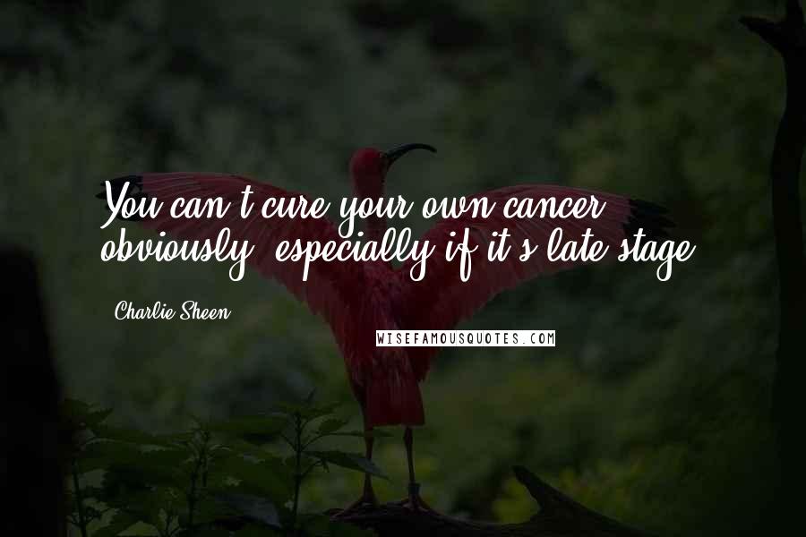 Charlie Sheen quotes: You can't cure your own cancer, obviously, especially if it's late stage.