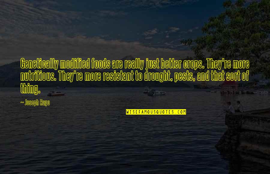 Charlie Sheens Quotes By Joseph Rago: Genetically modified foods are really just better crops. Charlie Sheens Quotes By Joseph Rago: Genetically modified foods are really just better crops.