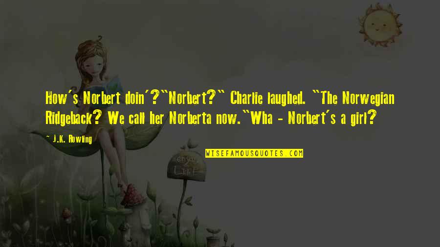 Charlie'll Quotes By J.K. Rowling: How's Norbert doin'?"Norbert?" Charlie laughed. "The Norwegian Ridgeback?