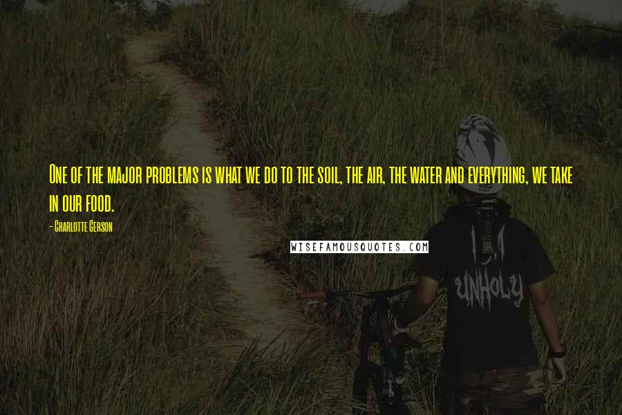 Charlotte Gerson quotes: One of the major problems is what we do to the soil, the air, the water and everything, we take in our food.