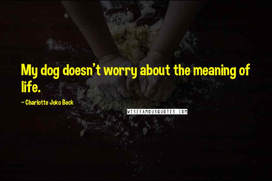 Charlotte Joko Beck quotes: My dog doesn't worry about the meaning of life.
