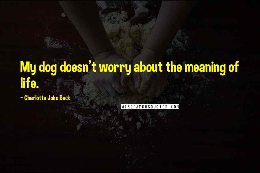 Charlotte Joko Beck quotes: My dog doesn't worry about the meaning of life.