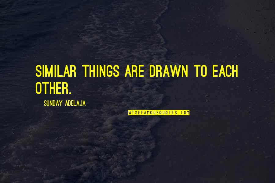 Charly Black Quotes By Sunday Adelaja: Similar things are drawn to each other. Charly Black Quotes By Sunday Adelaja: Similar things are drawn to each other.