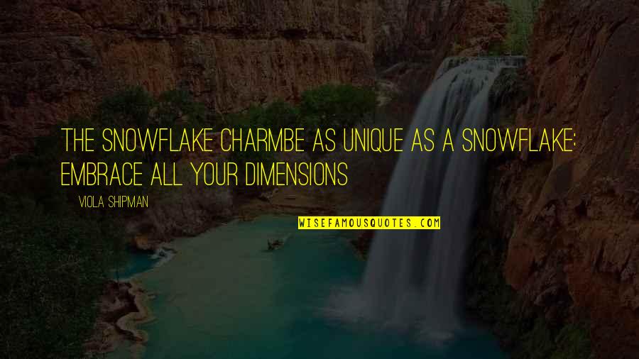 Charm Quotes And Quotes By Viola Shipman: The Snowflake CharmBe As Unique As A Snowflake: