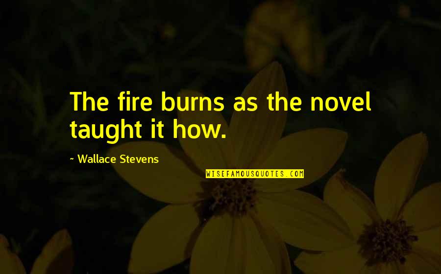Charme Into Quotes By Wallace Stevens: The fire burns as the novel taught it