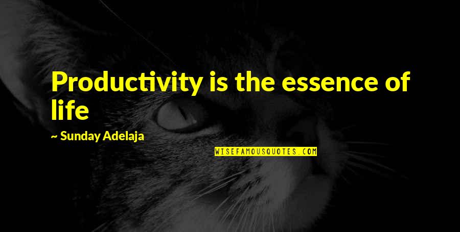 Charmed Grams Quotes By Sunday Adelaja: Productivity is the essence of life