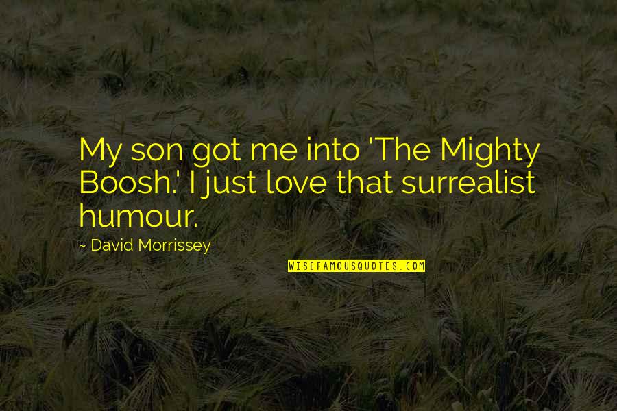 Charmettes Quotes By David Morrissey: My son got me into 'The Mighty Boosh.'