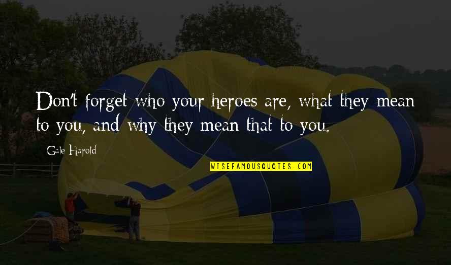 Charming Or Tedious Quotes By Gale Harold: Don't forget who your heroes are, what they