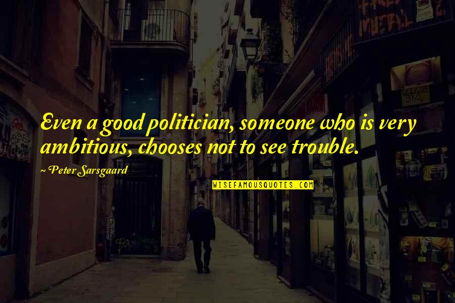 Charmoli Scott Quotes By Peter Sarsgaard: Even a good politician, someone who is very