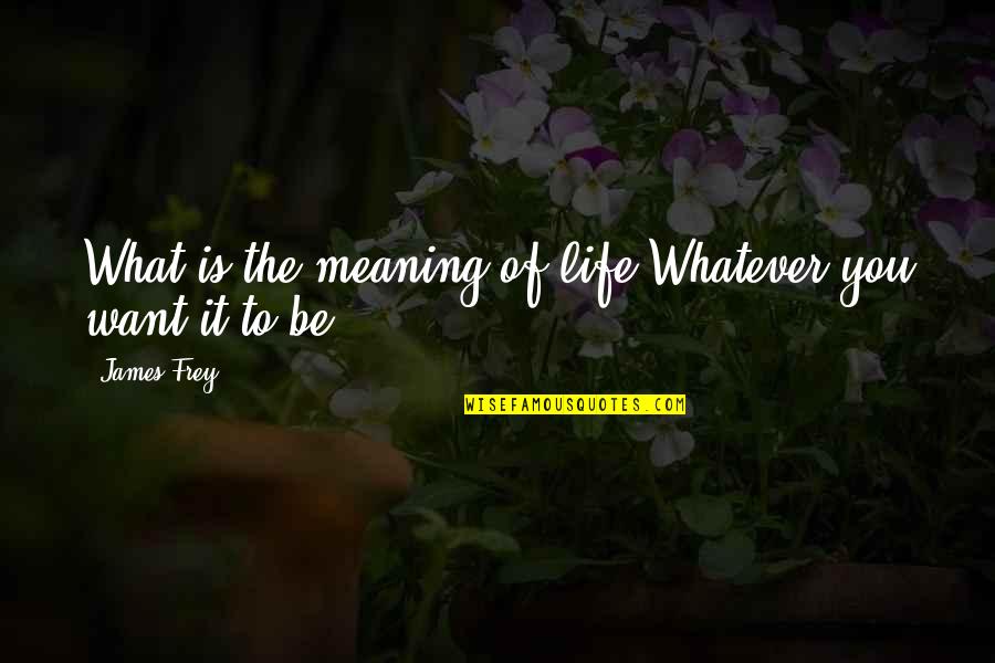 Charoen Sirivadhanabhakdi Quotes By James Frey: What is the meaning of life?Whatever you want