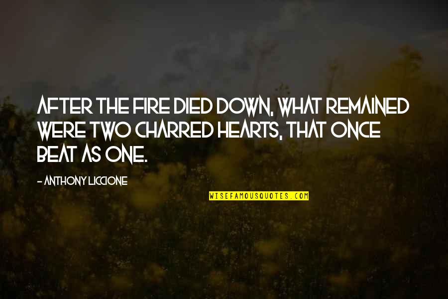 Charred Quotes By Anthony Liccione: After the fire died down, what remained were Charred Quotes By Anthony Liccione: After the fire died down, what remained were