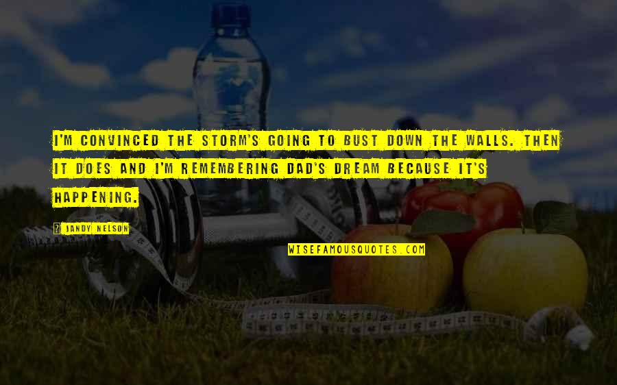Charter Plane Quote Quotes By Jandy Nelson: I'm convinced the storm's going to bust down Charter Plane Quote Quotes By Jandy Nelson: I'm convinced the storm's going to bust down