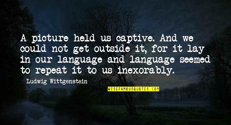 Charyn Darby Quotes By Ludwig Wittgenstein: A picture held us captive. And we could Charyn Darby Quotes By Ludwig Wittgenstein: A picture held us captive. And we could
