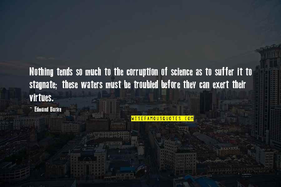 Chas Schwab Quotes By Edmund Burke: Nothing tends so much to the corruption of