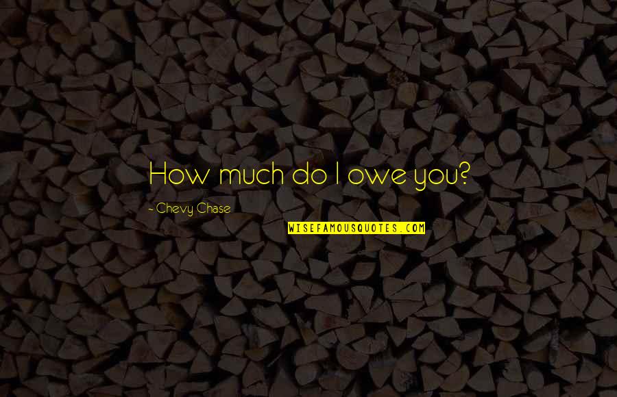 Chase Money Quotes By Chevy Chase: How much do I owe you?