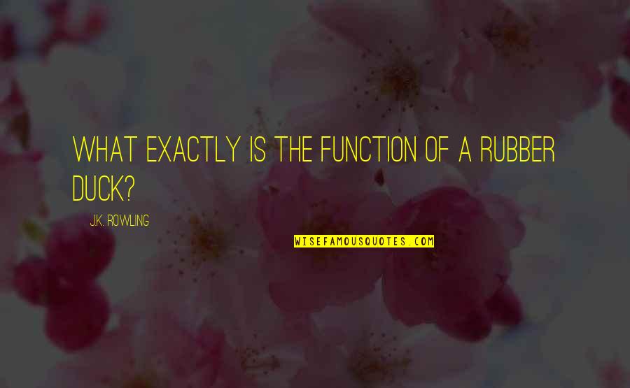 Chase Money Quotes By J.K. Rowling: What exactly is the function of a rubber