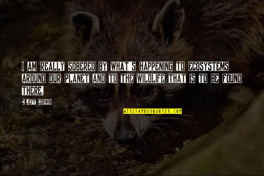 Chase Money Quotes By Jeff Corwin: I am really sobered by what's happening to