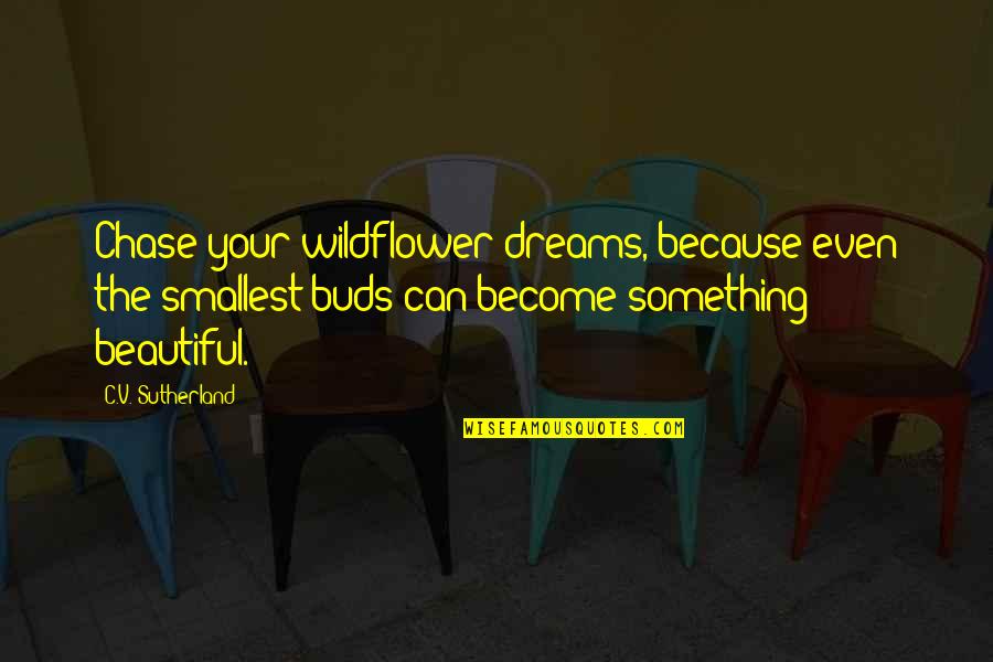 Chase The Dreams Quotes By C.V. Sutherland: Chase your wildflower dreams, because even the smallest