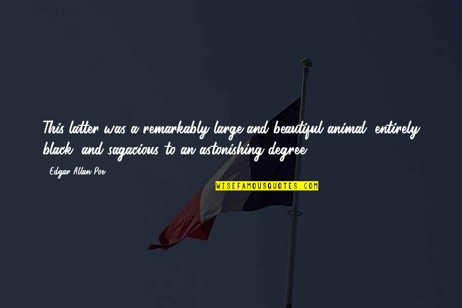 Chase The Sun Quotes By Edgar Allan Poe: This latter was a remarkably large and beautiful