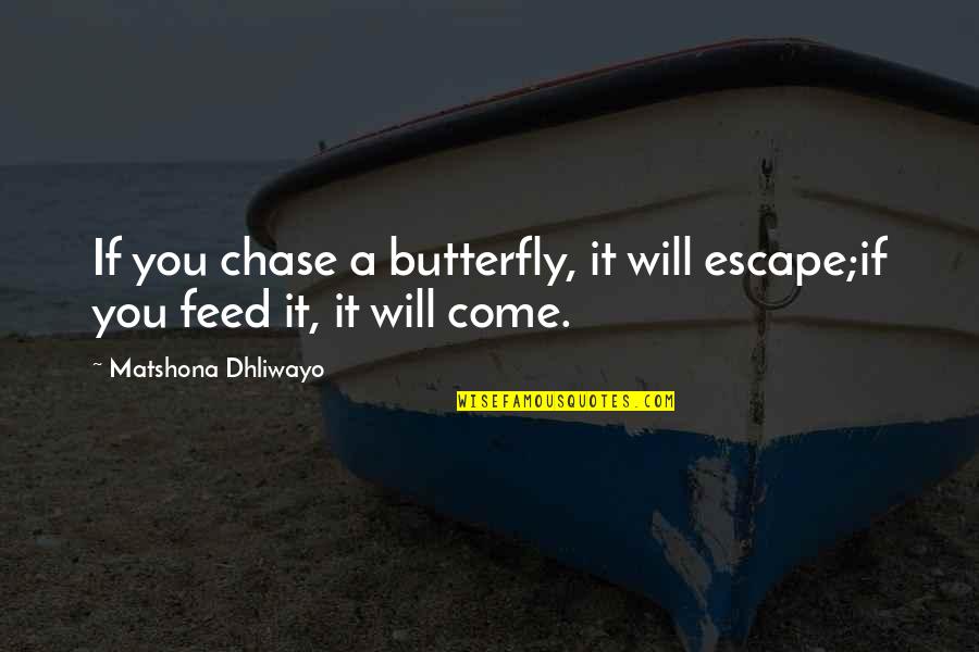 Chase You Quotes By Matshona Dhliwayo: If you chase a butterfly, it will escape;if
