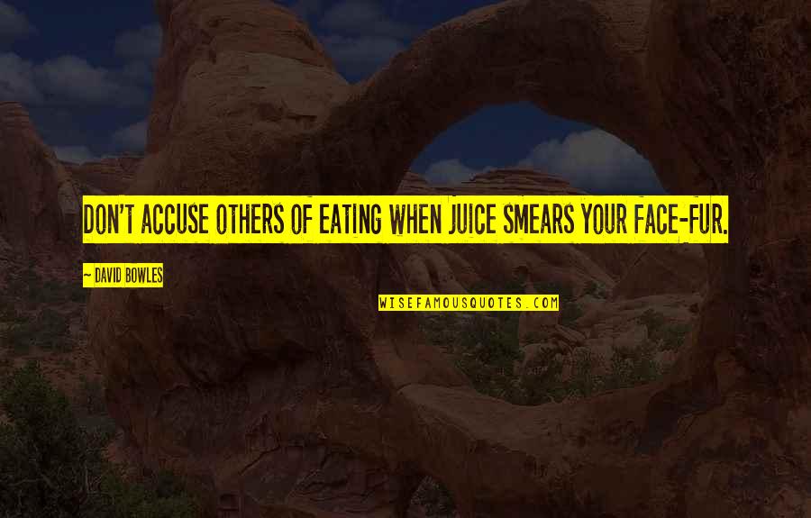 Chasing A Friend Quotes By David Bowles: Don't accuse others of eating when juice smears