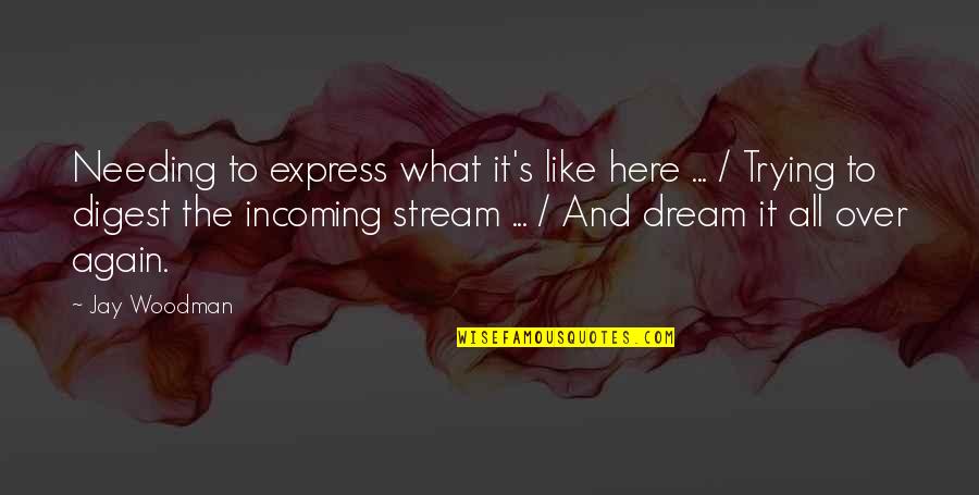 Chasing Brokklyn Quotes By Jay Woodman: Needing to express what it's like here ...