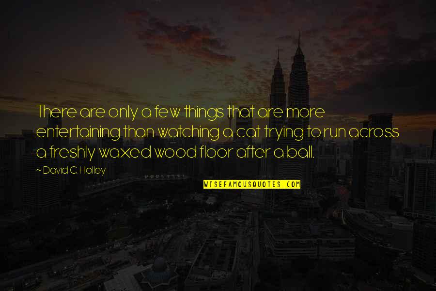 Chasing Quotes By David C. Holley: There are only a few things that are